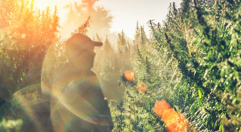 4125d3_823a6dcc31d648eea7e70a411bce80d0_mv2