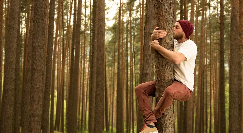 4125d3_cfc6e6924fe84919a6672c66b3e87529_mv2_d_3000_2000_s_2