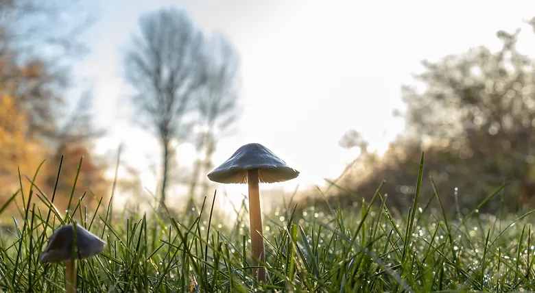 nsplsh_3363416f2d566478703463_mv2_d_4063_2709_s_4_2